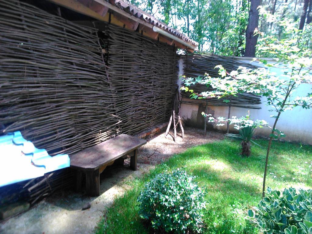 Kolkhida Resort & Spa Уреки Екстериор снимка